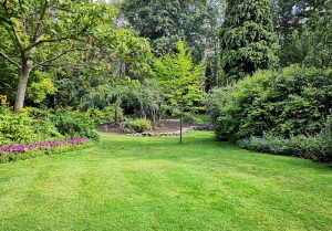 Optimiser l'expérience du jardin à Virandeville